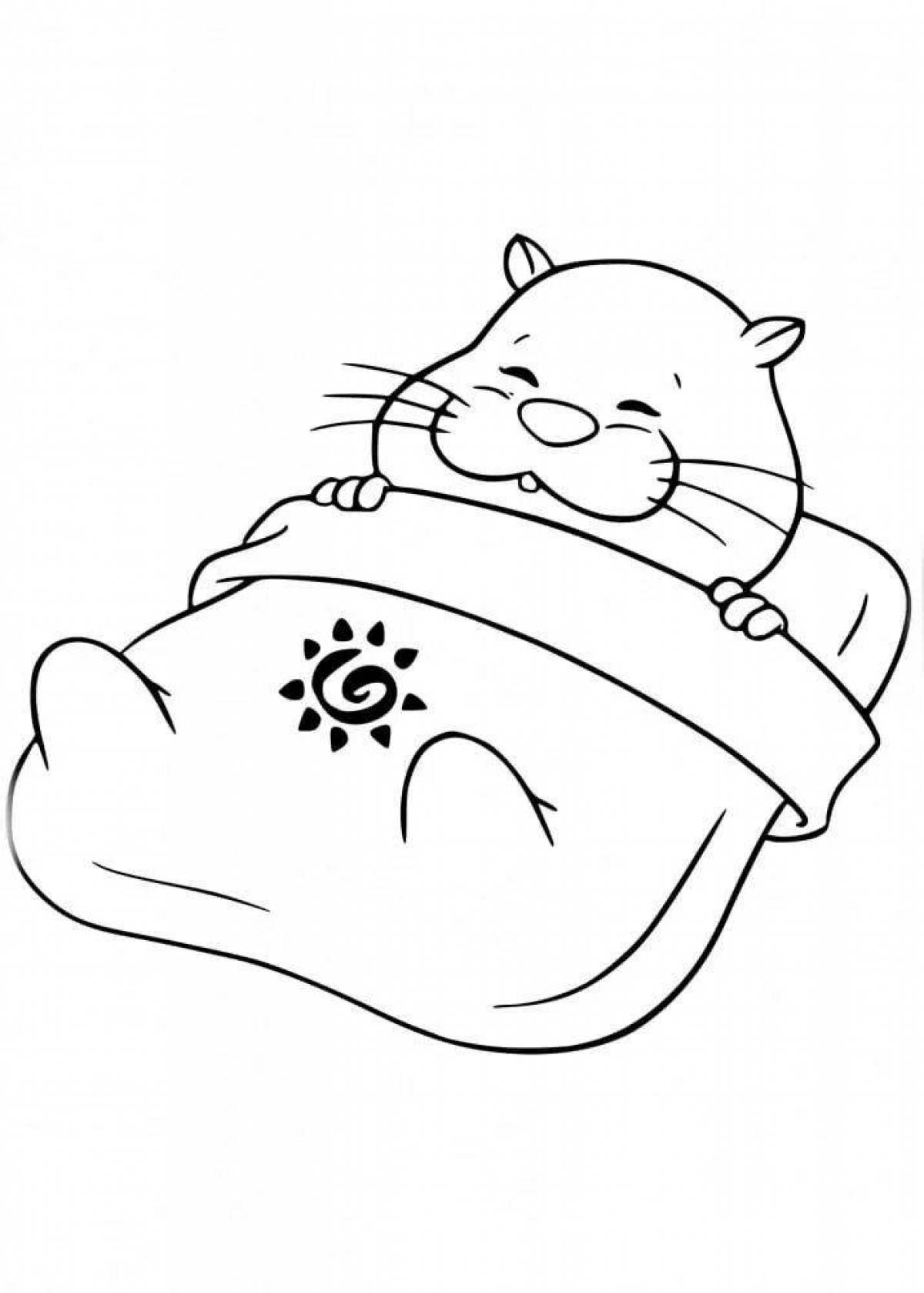 Magic coloring pages for hamsters