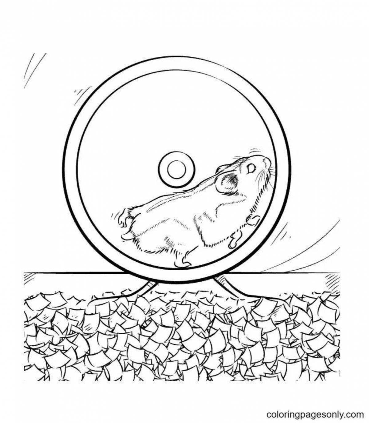 Outstanding hamster coloring pages