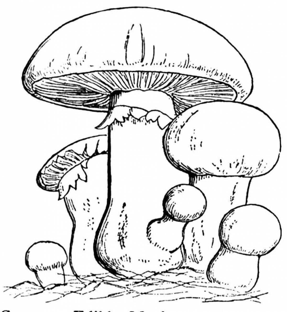 Coloring book spooky satanic mushroom