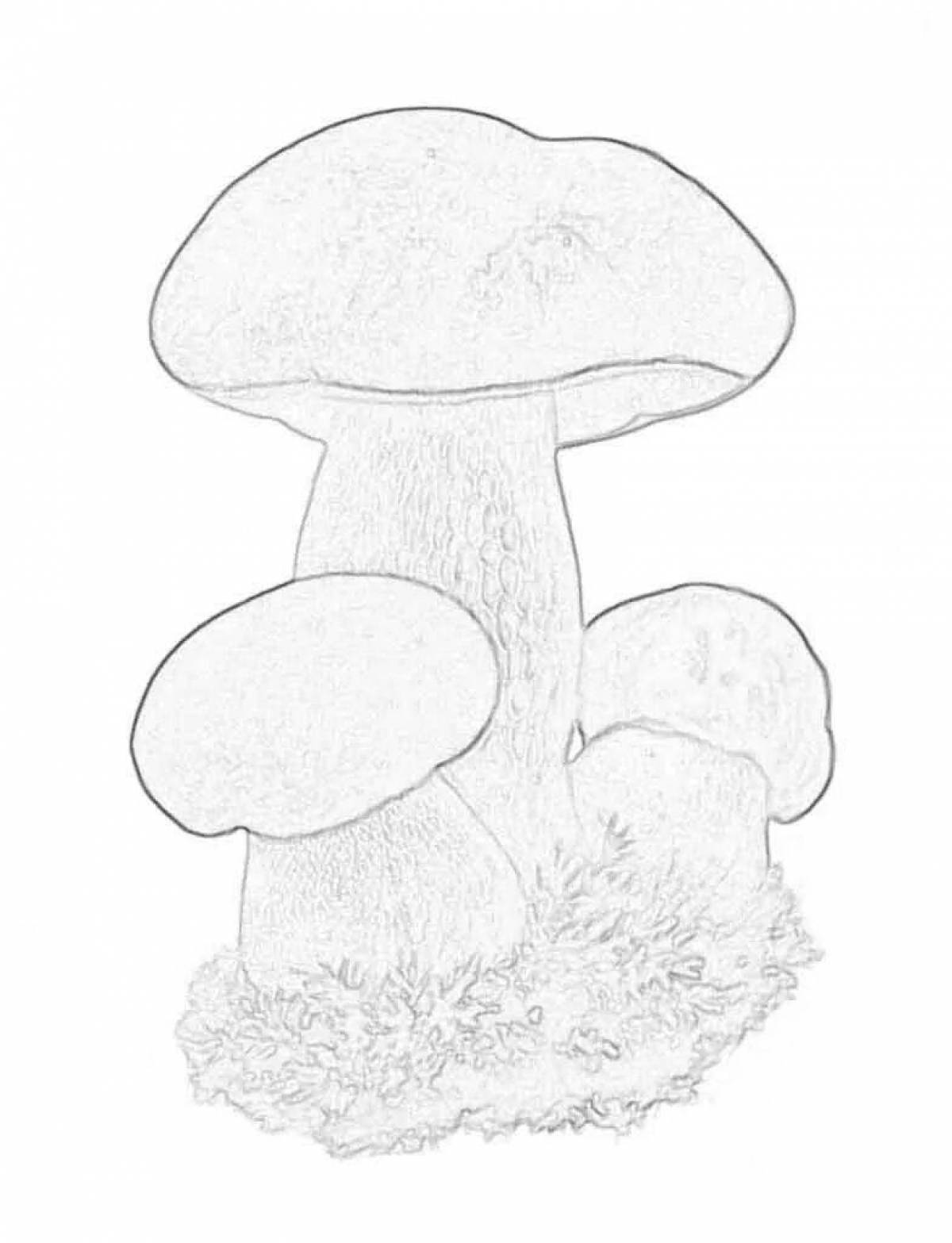 Яркая страница раскраски сатанинских грибов