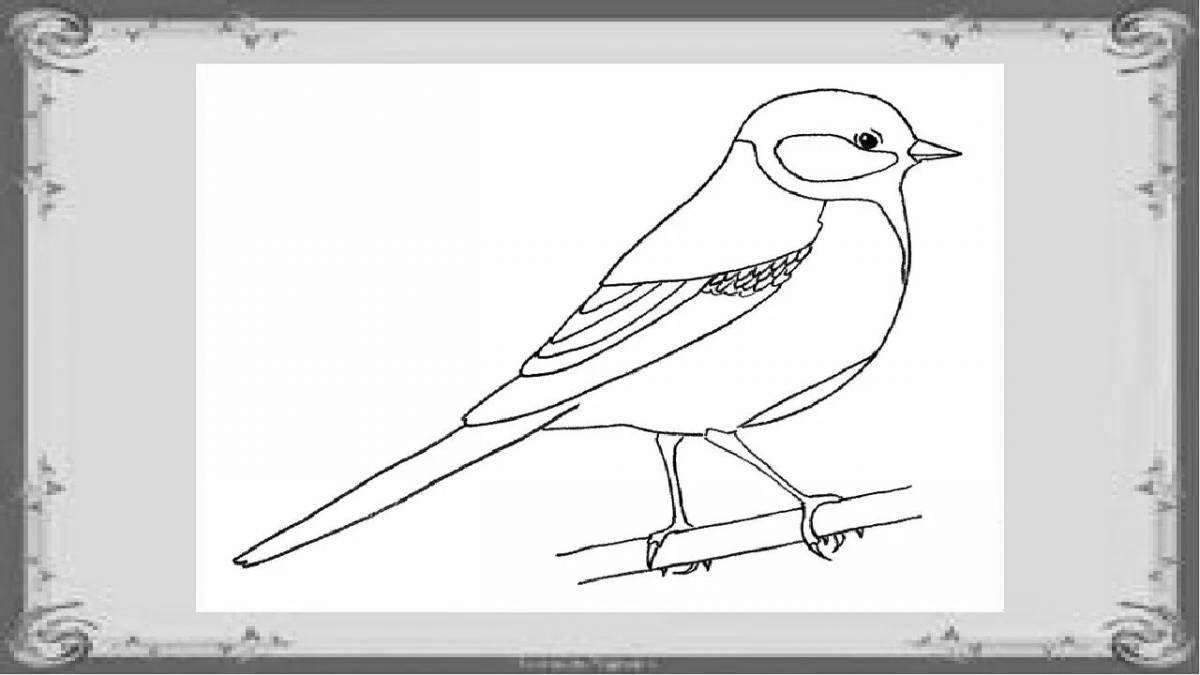 Drawing of a radiant tit
