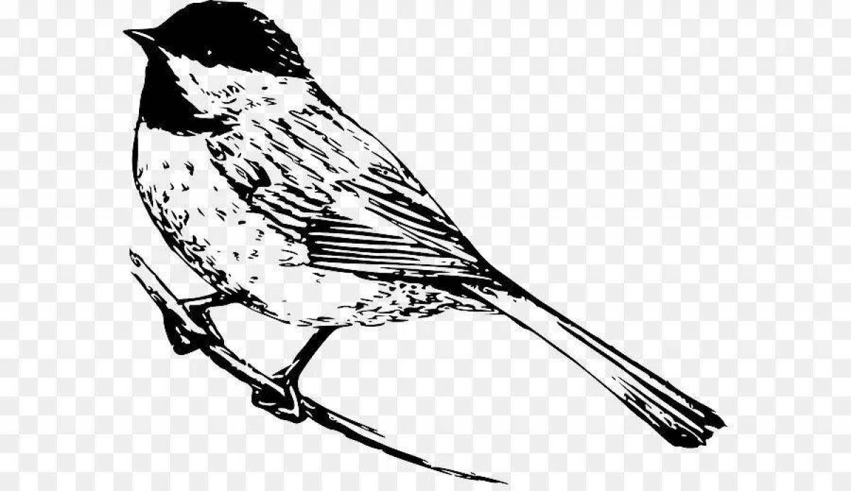 Animated titmouse drawing