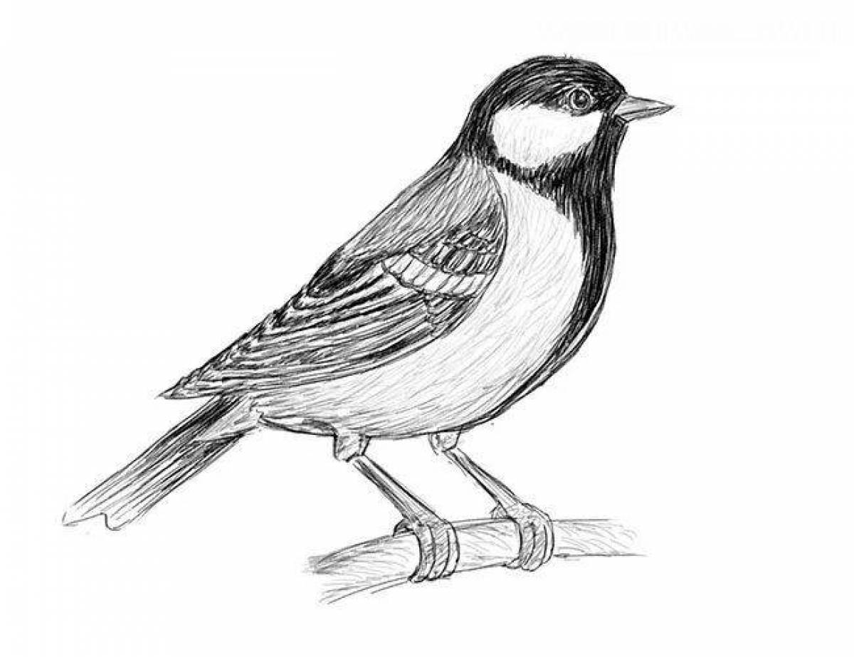 Poetic drawing of a titmouse
