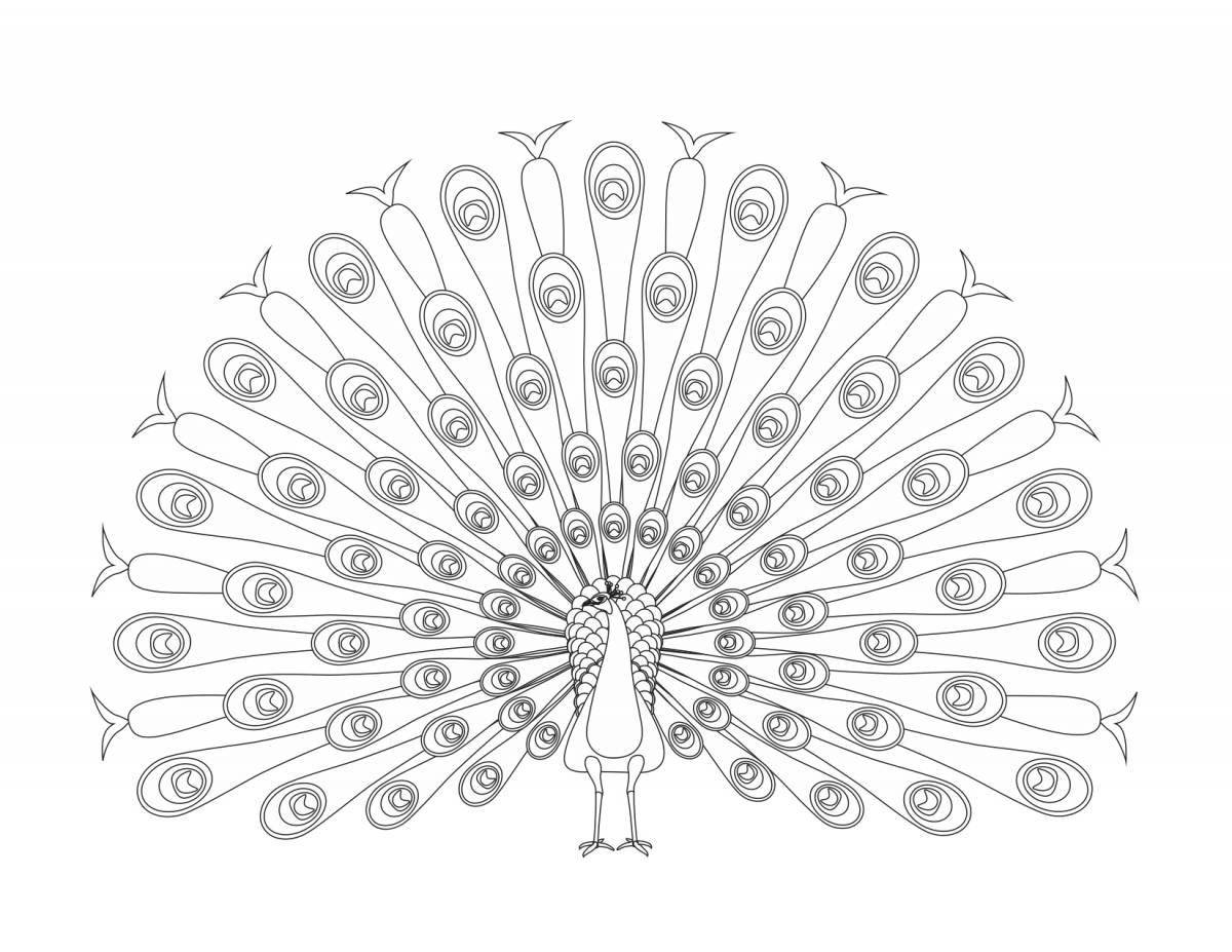 Exquisite peacock mascot coloring book