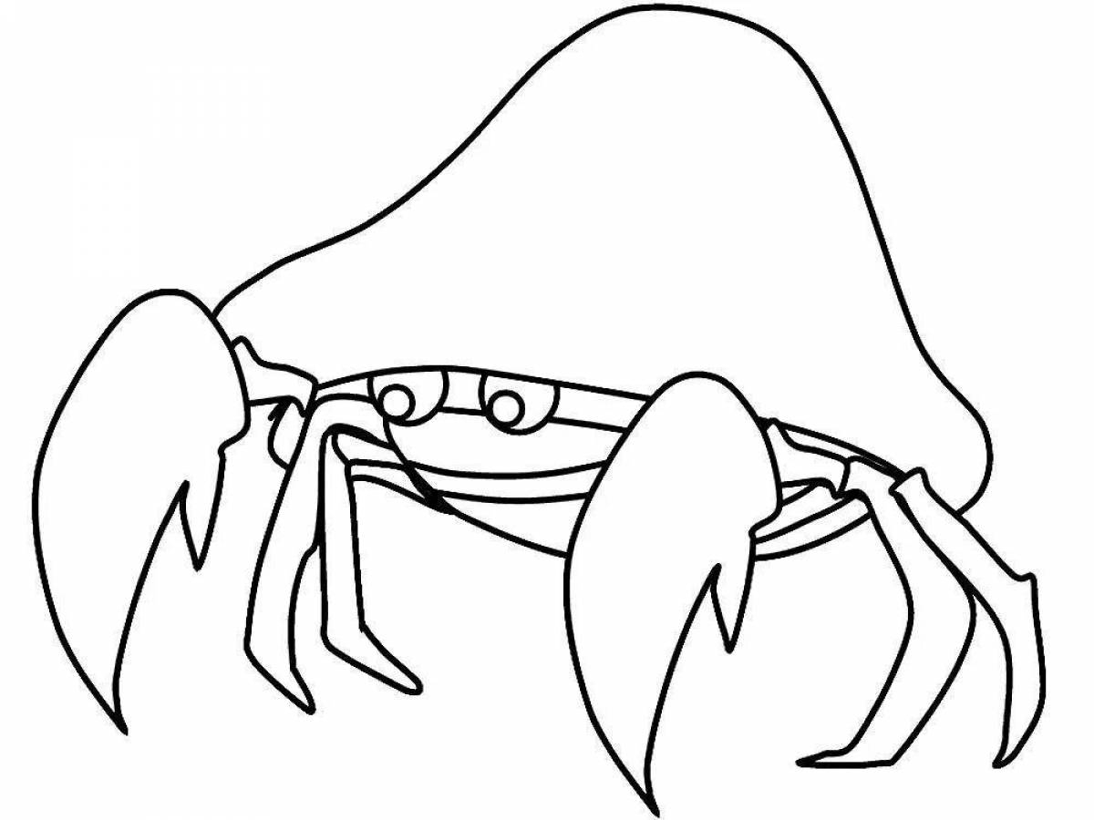 Coloring book shining hermit crab