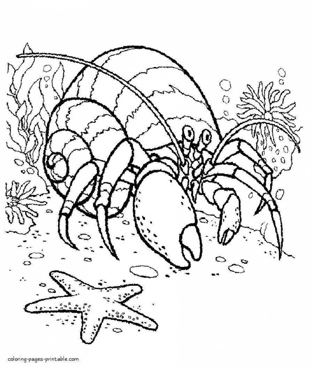 Fabulous hermit crab coloring page