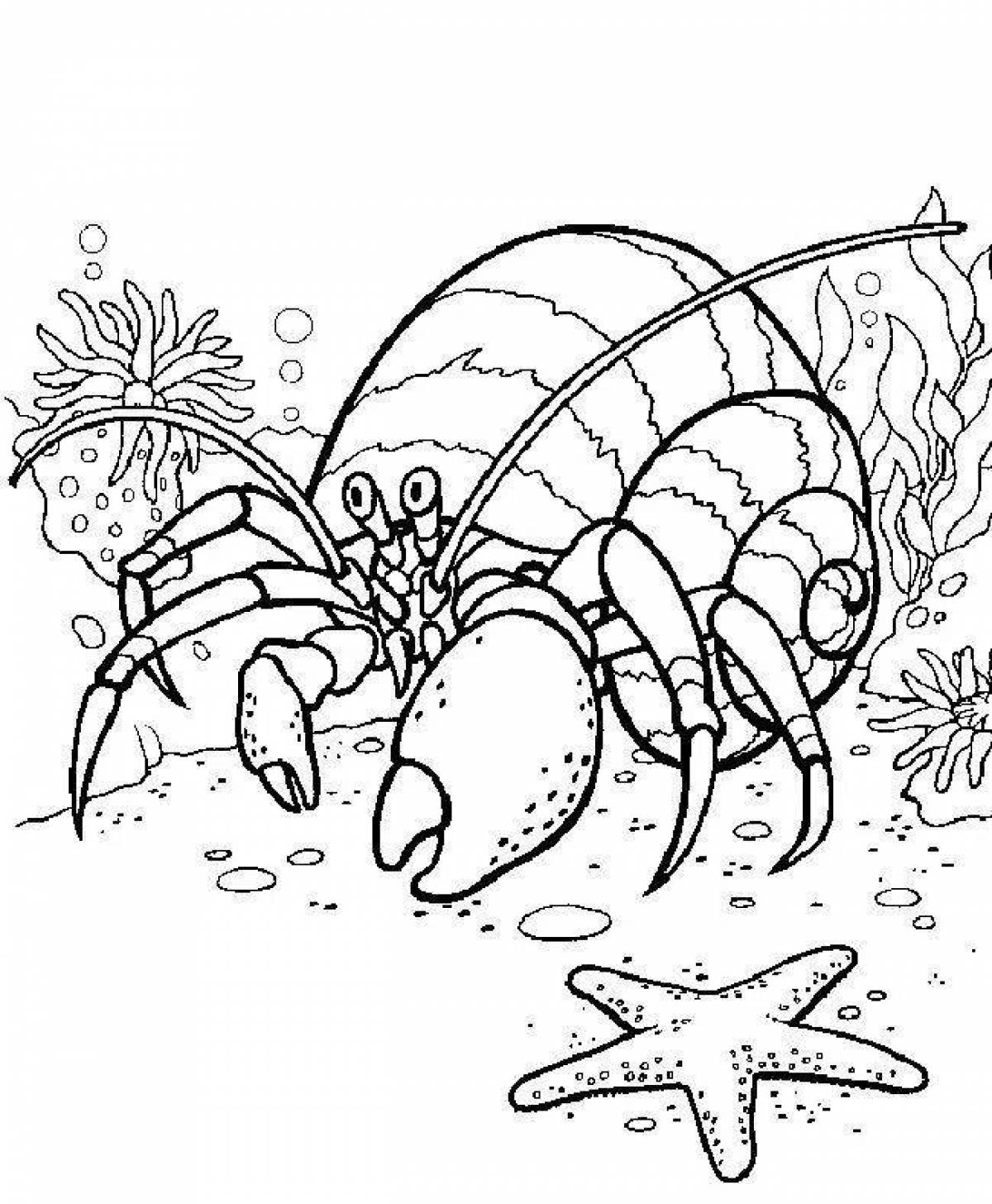 Coloring page nice hermit crab