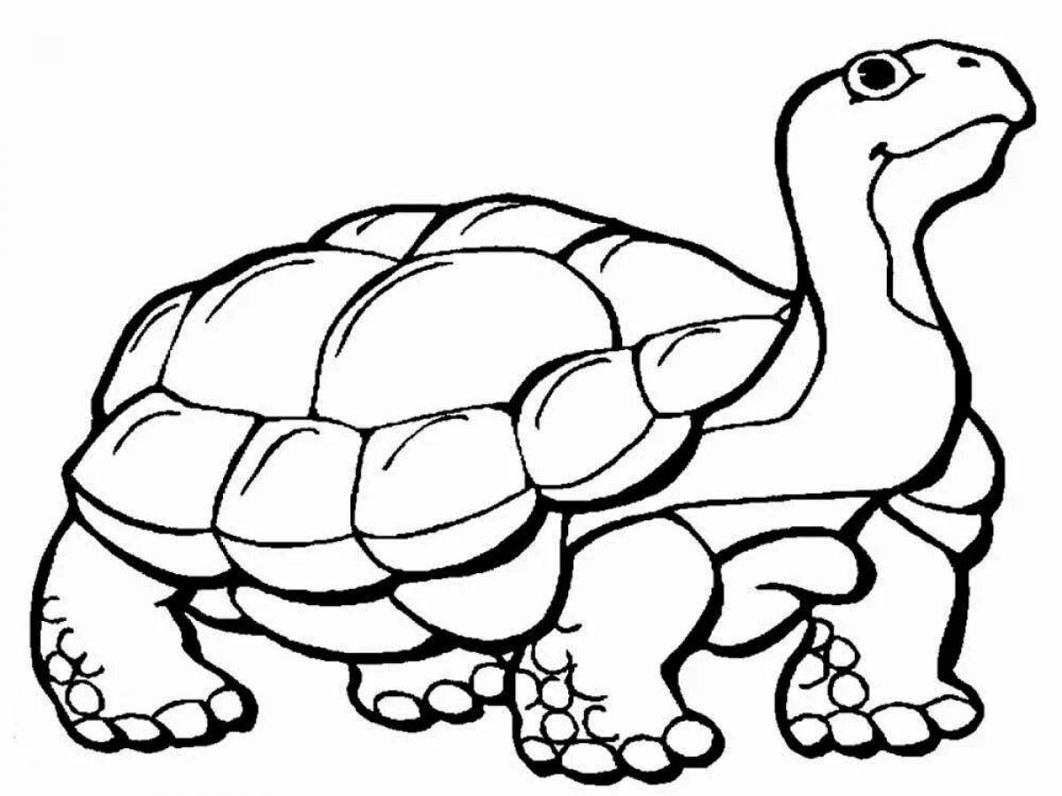 Playful turtle coloring book