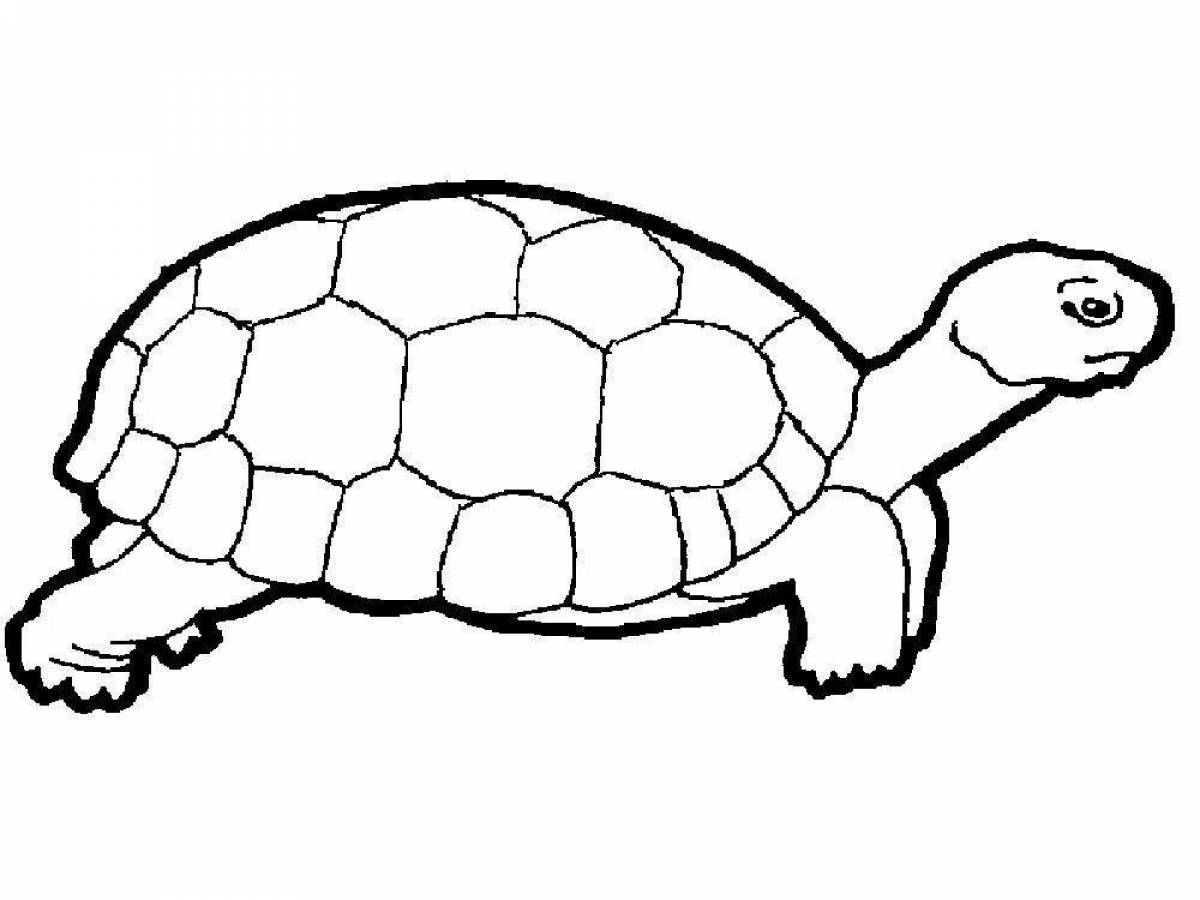 Веселая черепаха раскраска