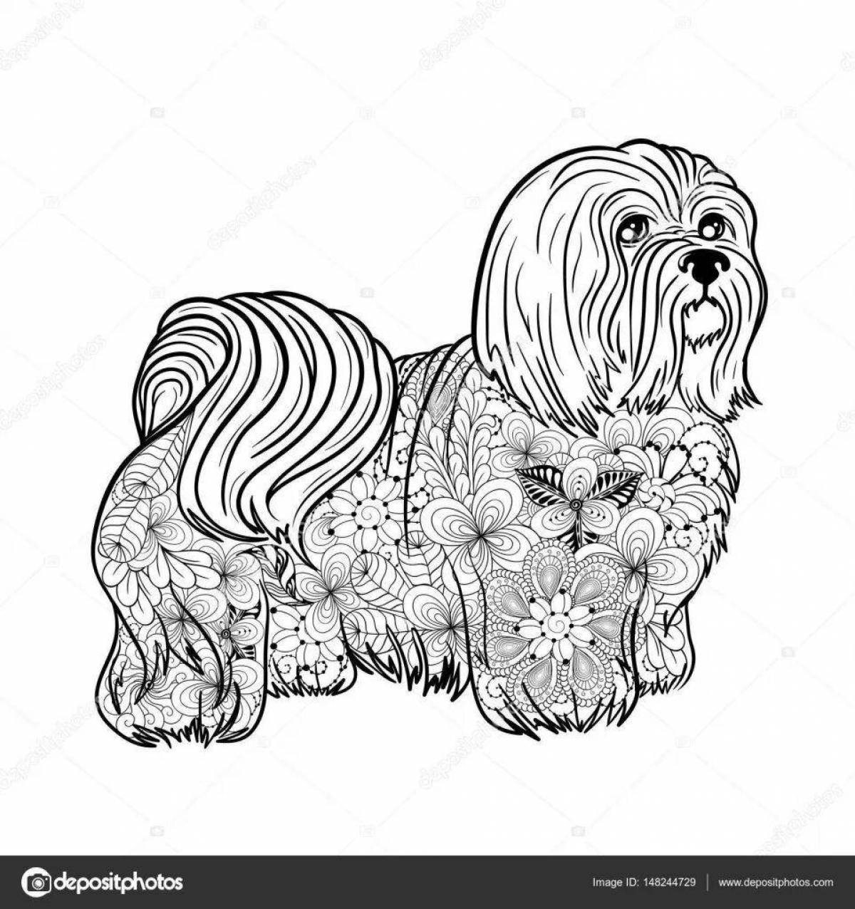 Cute Maltese coloring book