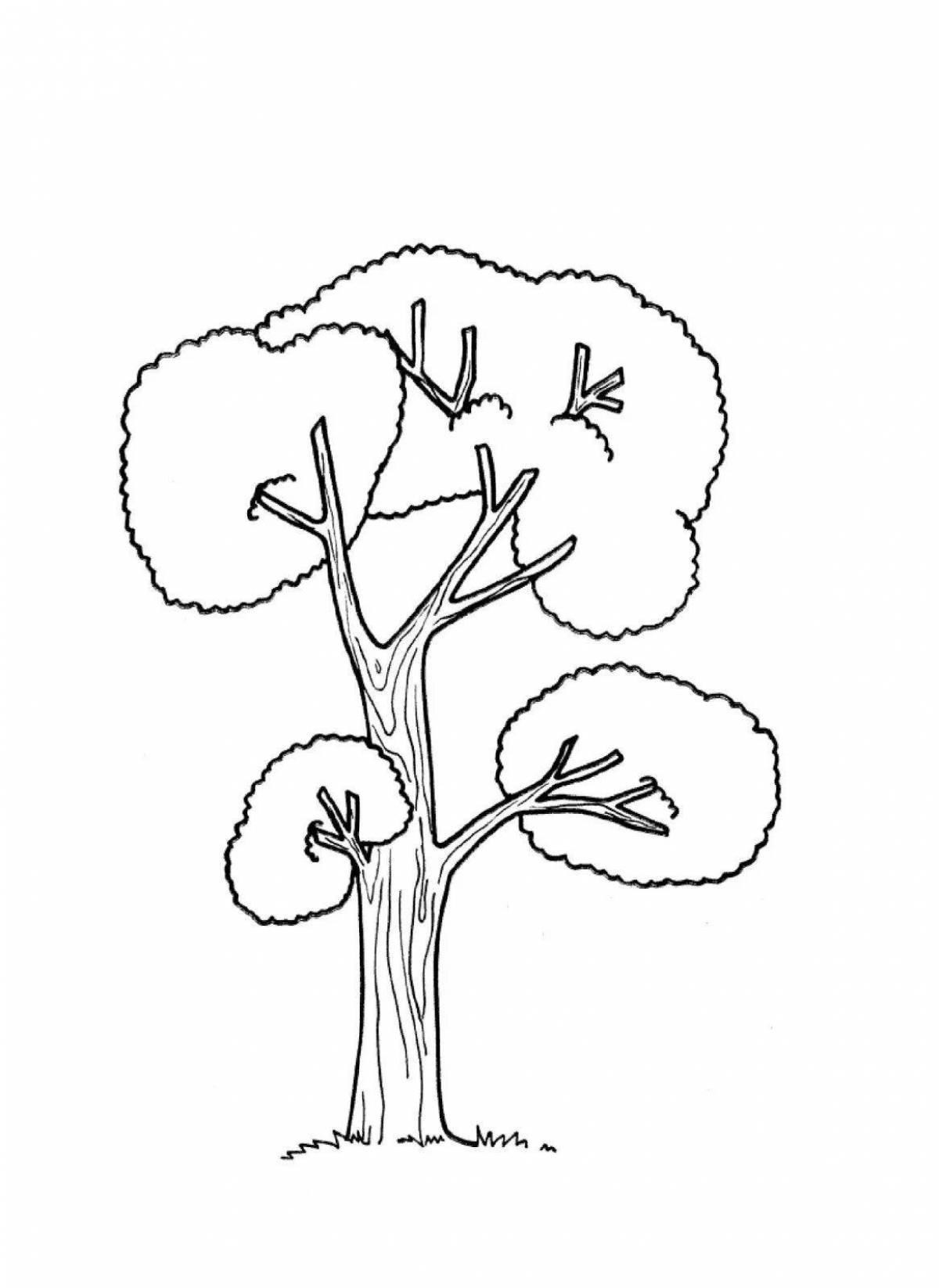 Tempting winter plants coloring pages