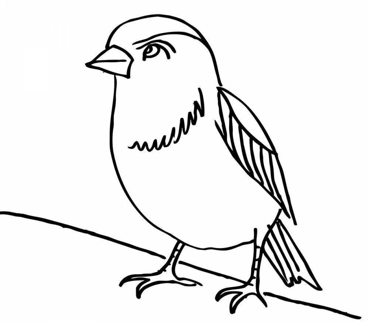 Coloring page majestic sparrow in winter