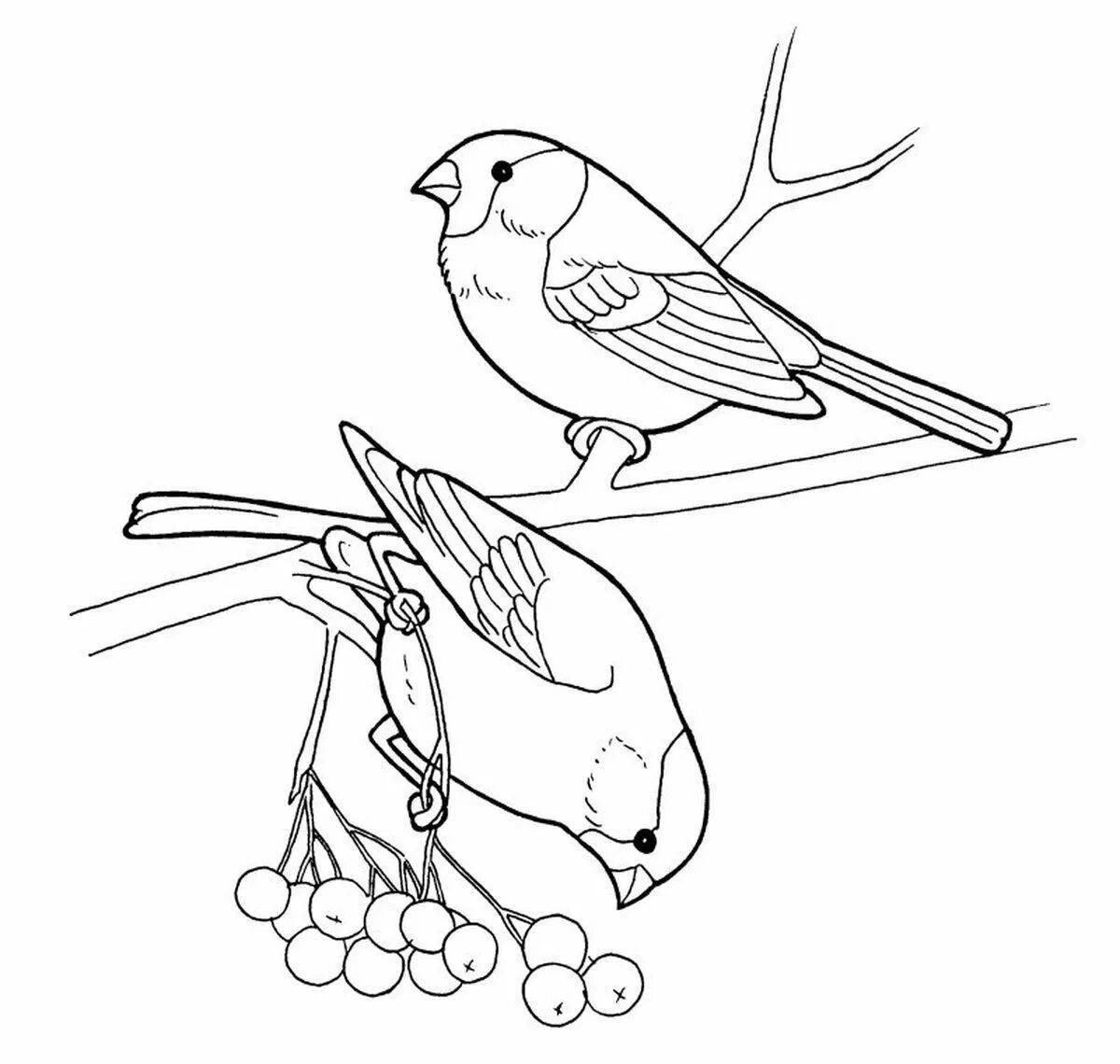 Coloring book sparkling sparrow in winter