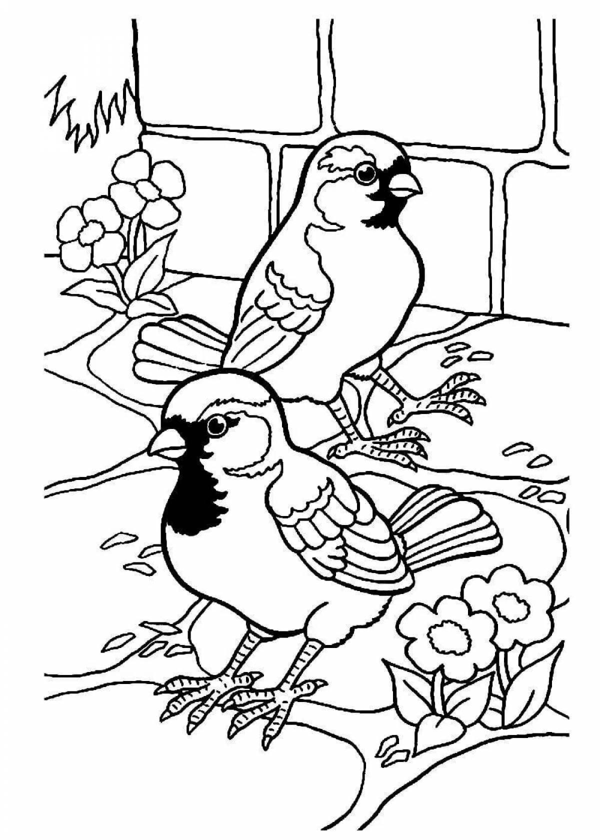 Colorful sparrow in winter coloring book