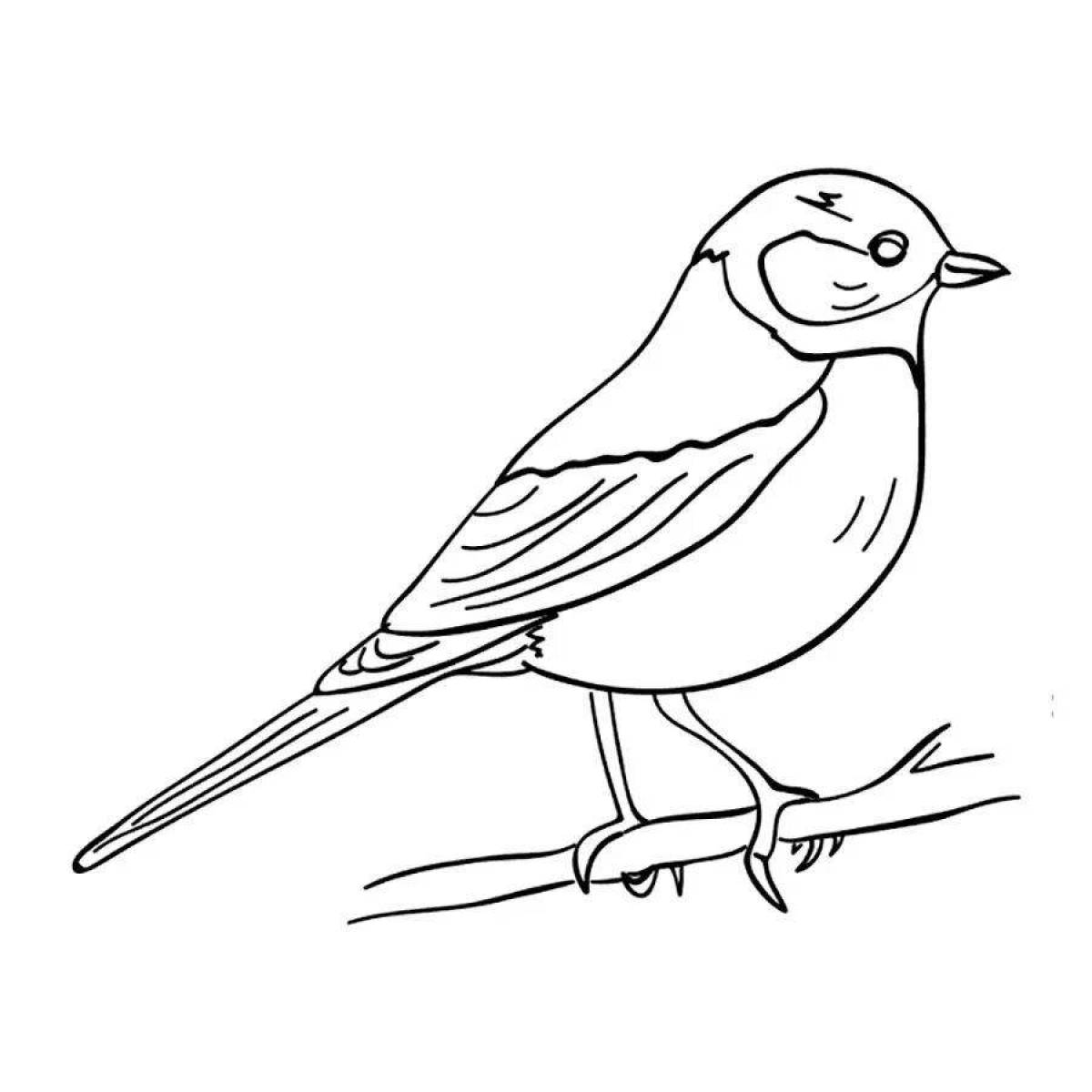 Bright sparrow in winter coloring book