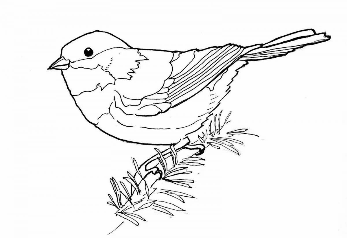 Coloring page playful sparrow in winter