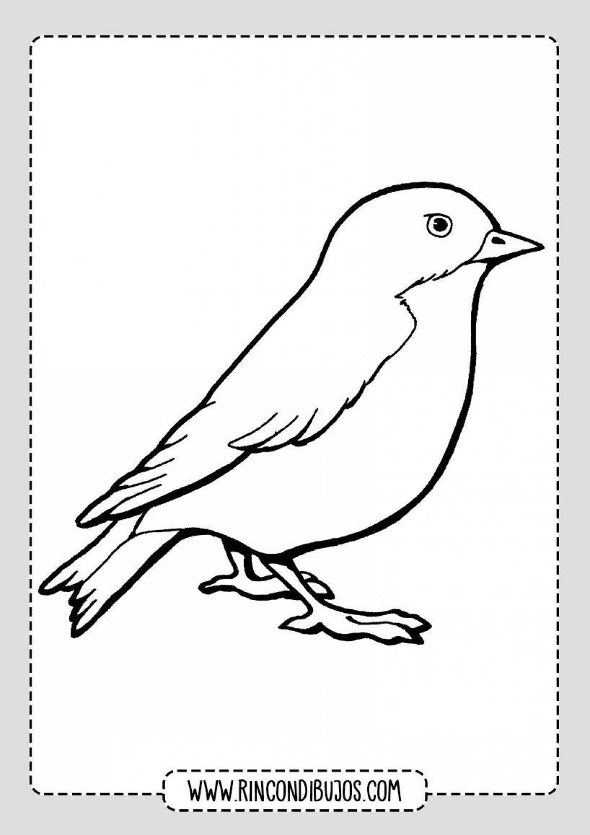 Joyful sparrow in winter coloring book