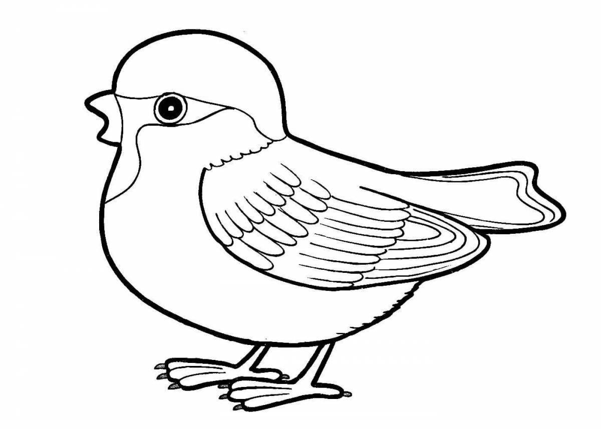 Charming sparrow in winter coloring book