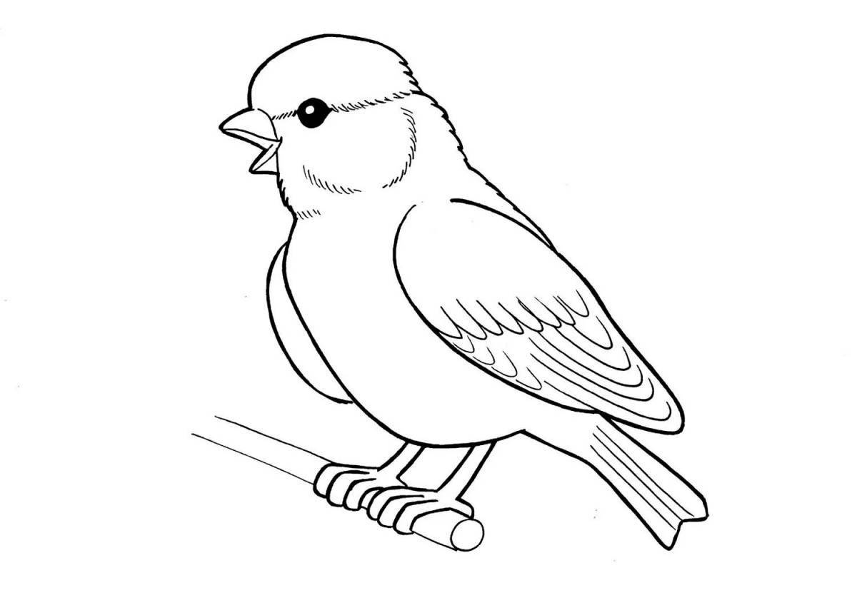 Refreshing sparrow in winter coloring book