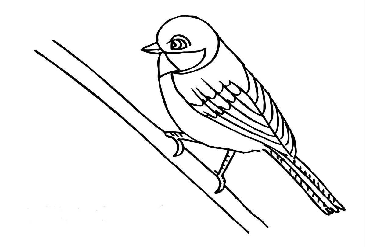 Soaring sparrow in winter coloring page