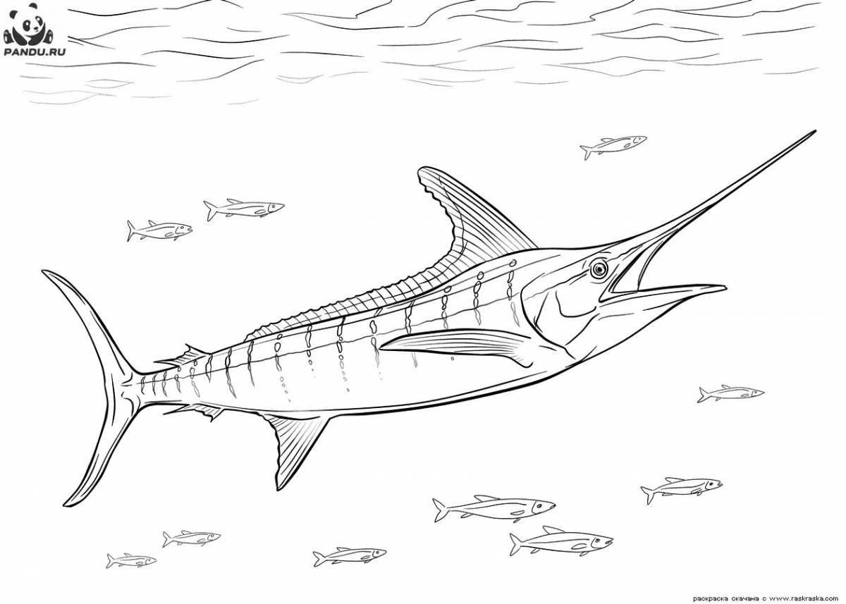 Colorful swordfish coloring page