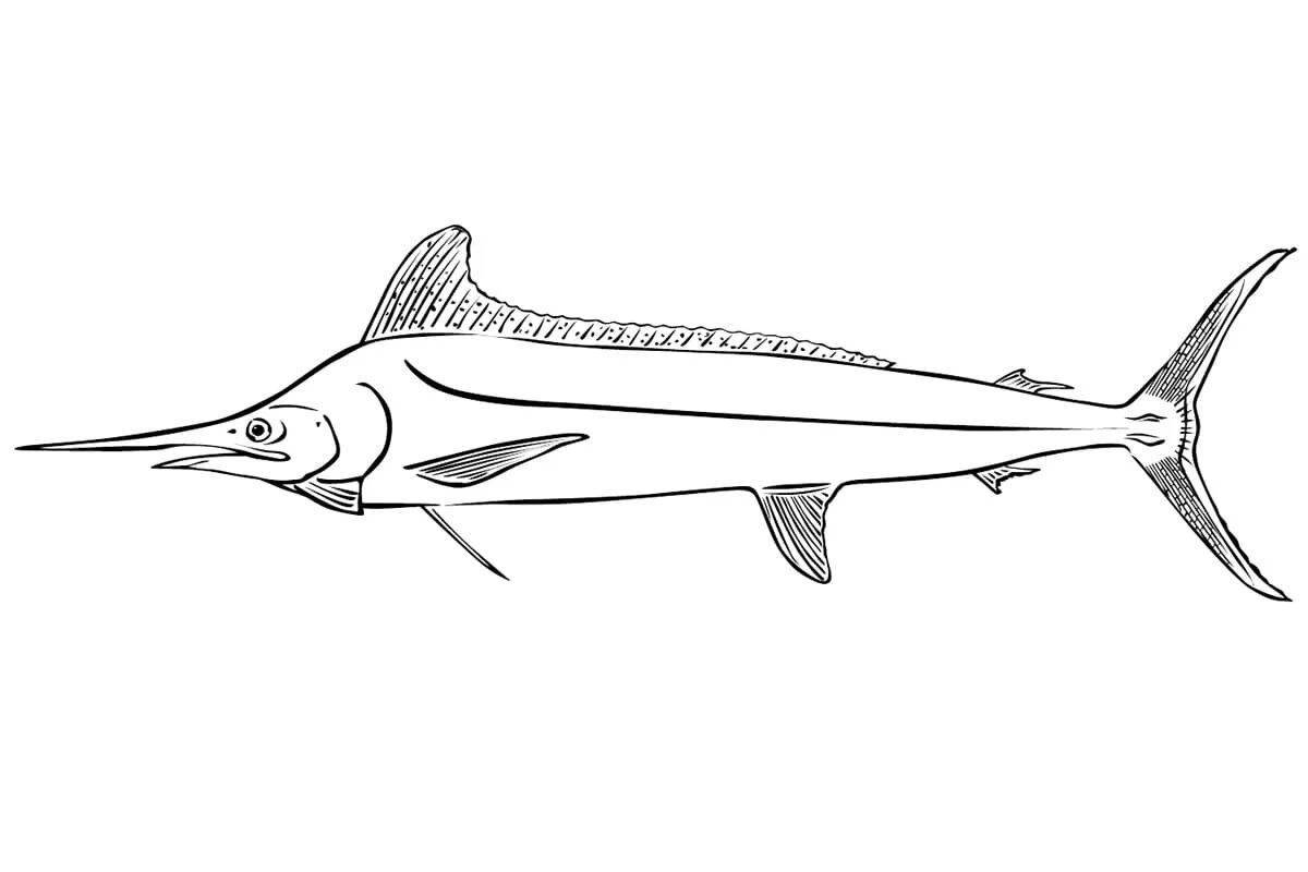Intriguing swordfish coloring page