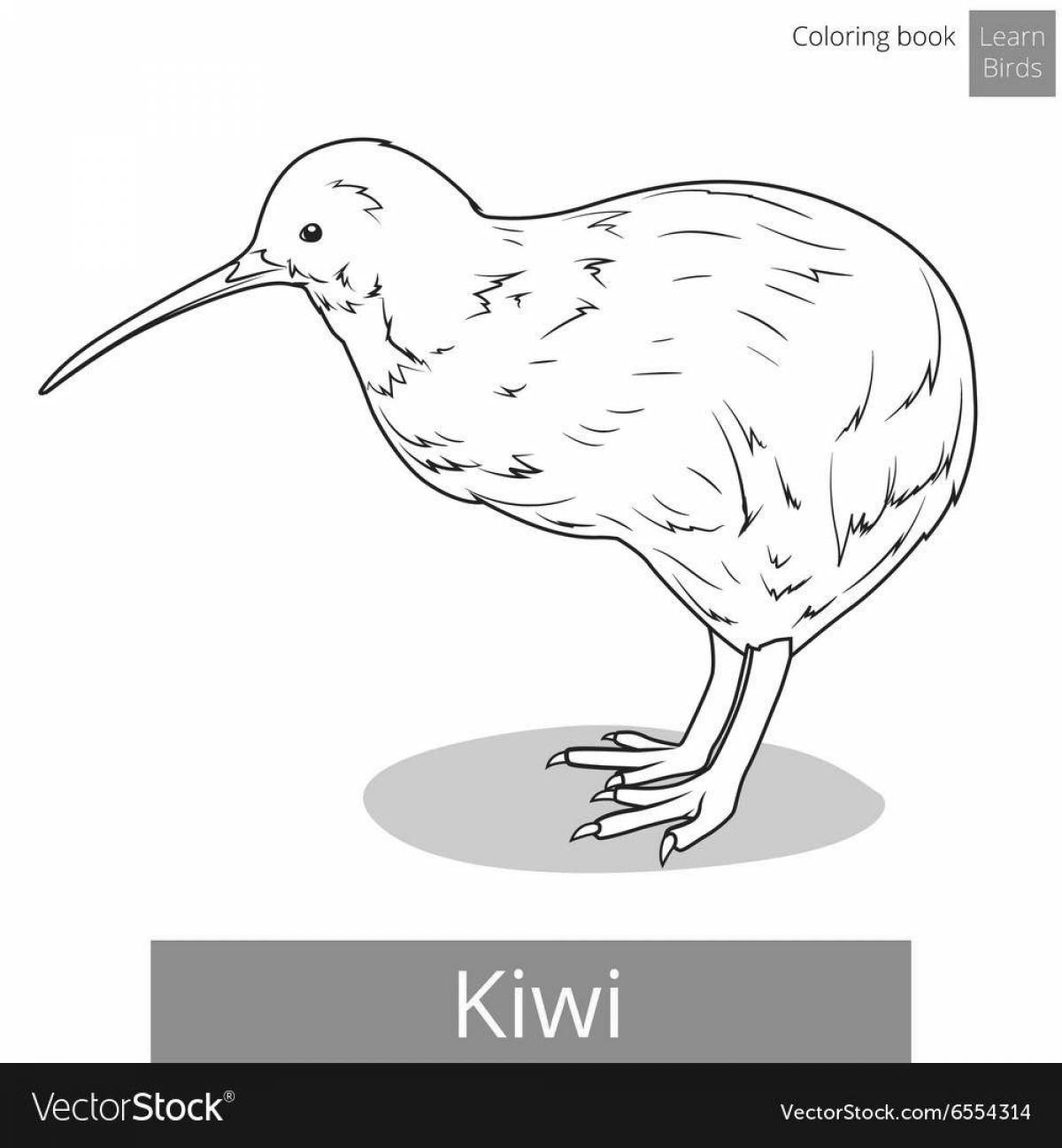 Colorful kiwi willy coloring page