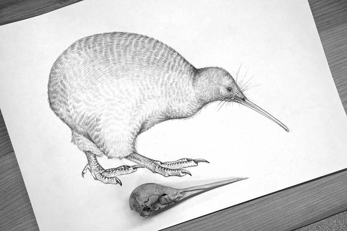 Sweet kiwi willy coloring page