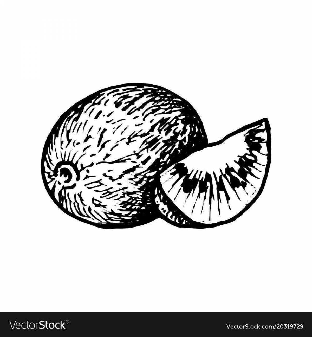 Gorgeous kiwi willy coloring page