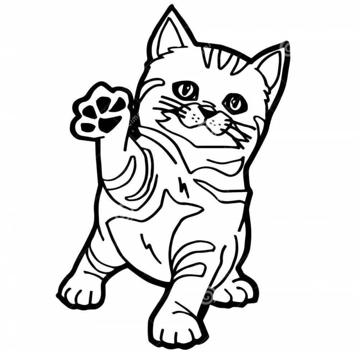 Colorful scottish cat coloring page