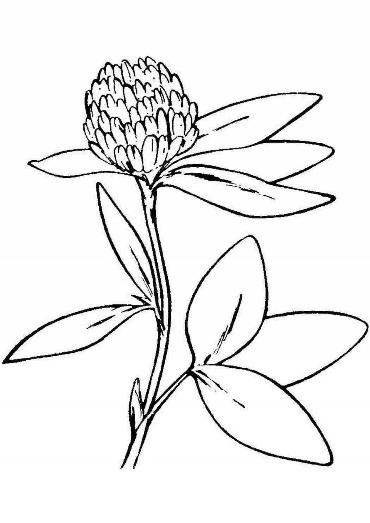 Amazing wild plant coloring pages