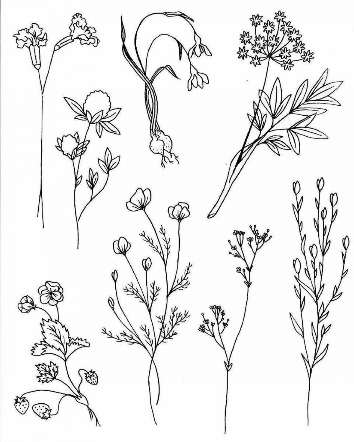 Delightful wild plant coloring pages