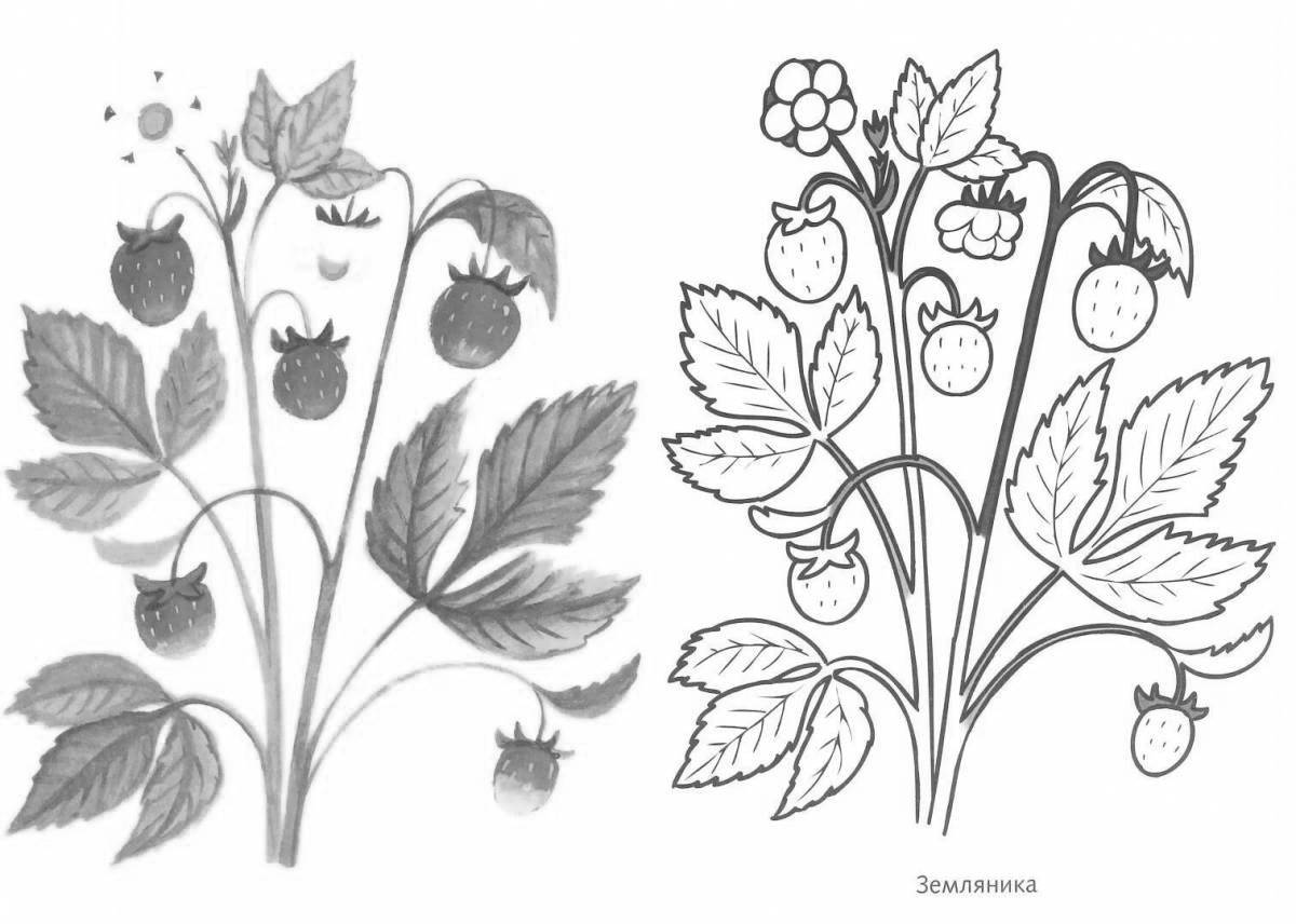 Mystical coloring wild plants
