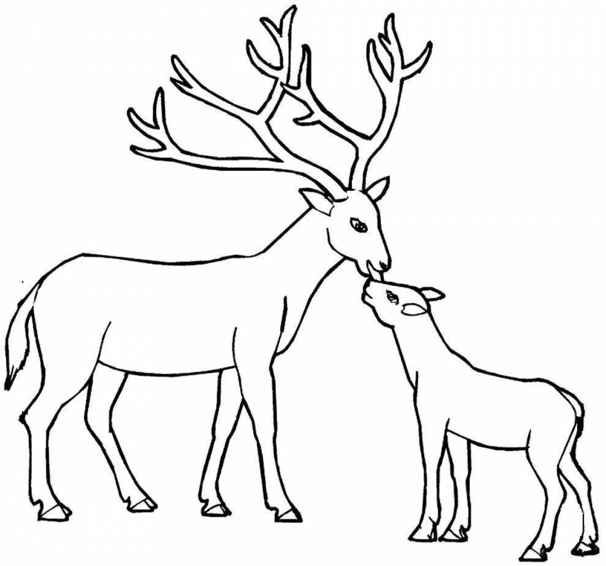 Coloring majestic red deer