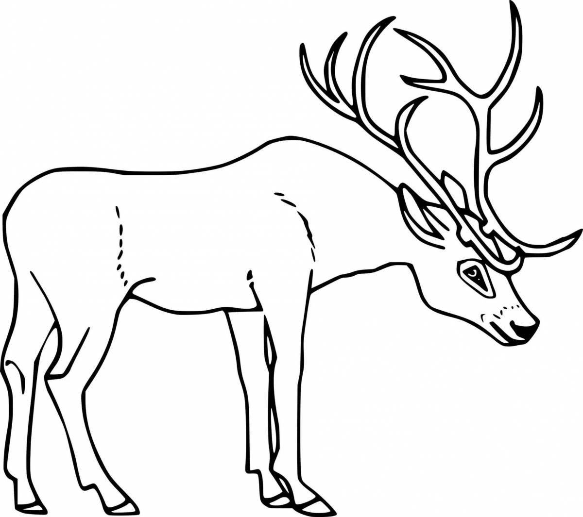 Coloring book shining red deer