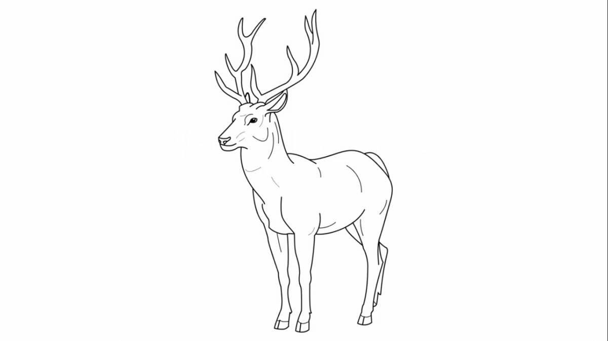 Red deer coloring page dignity