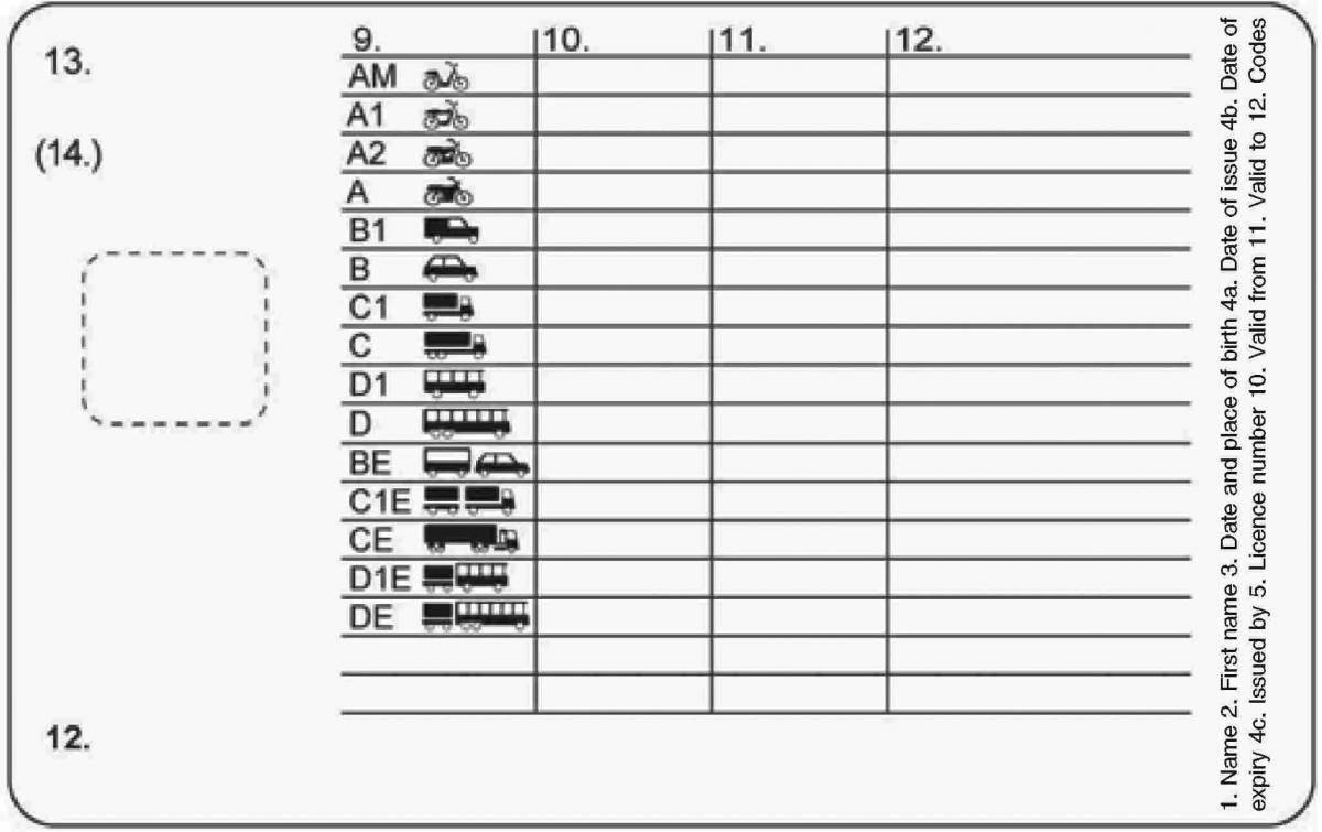 Attractive driving license coloring page