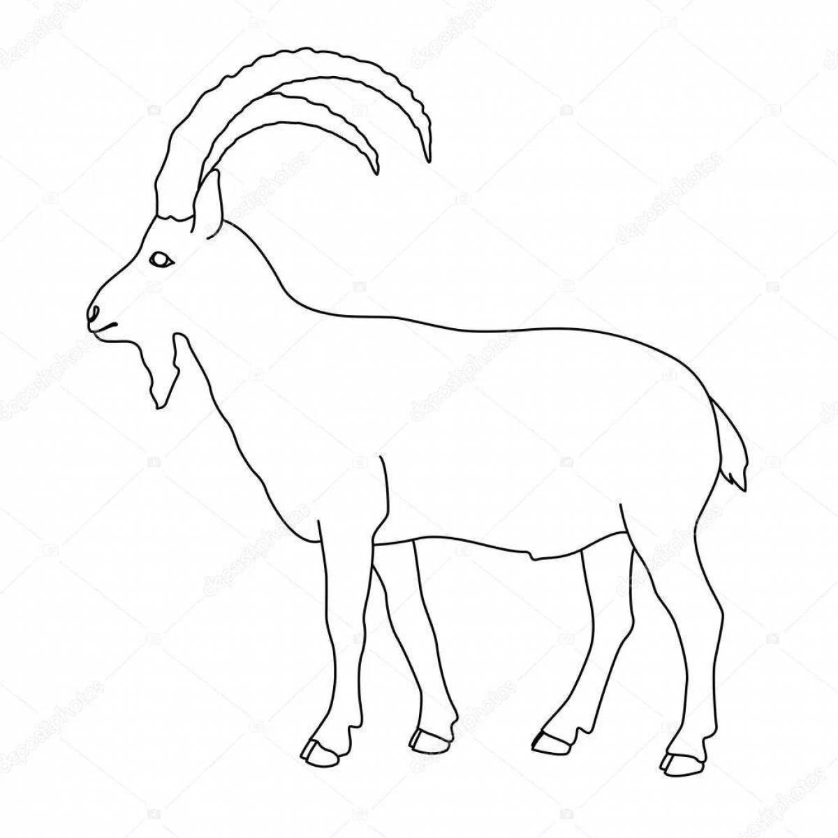 Coloring book nice mountain goat