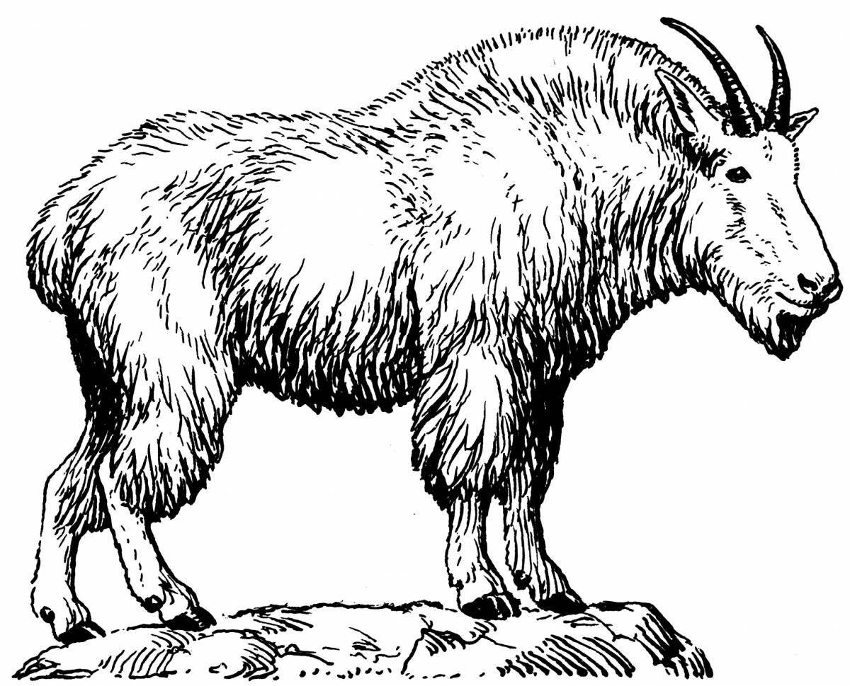 Awesome mountain goat coloring page