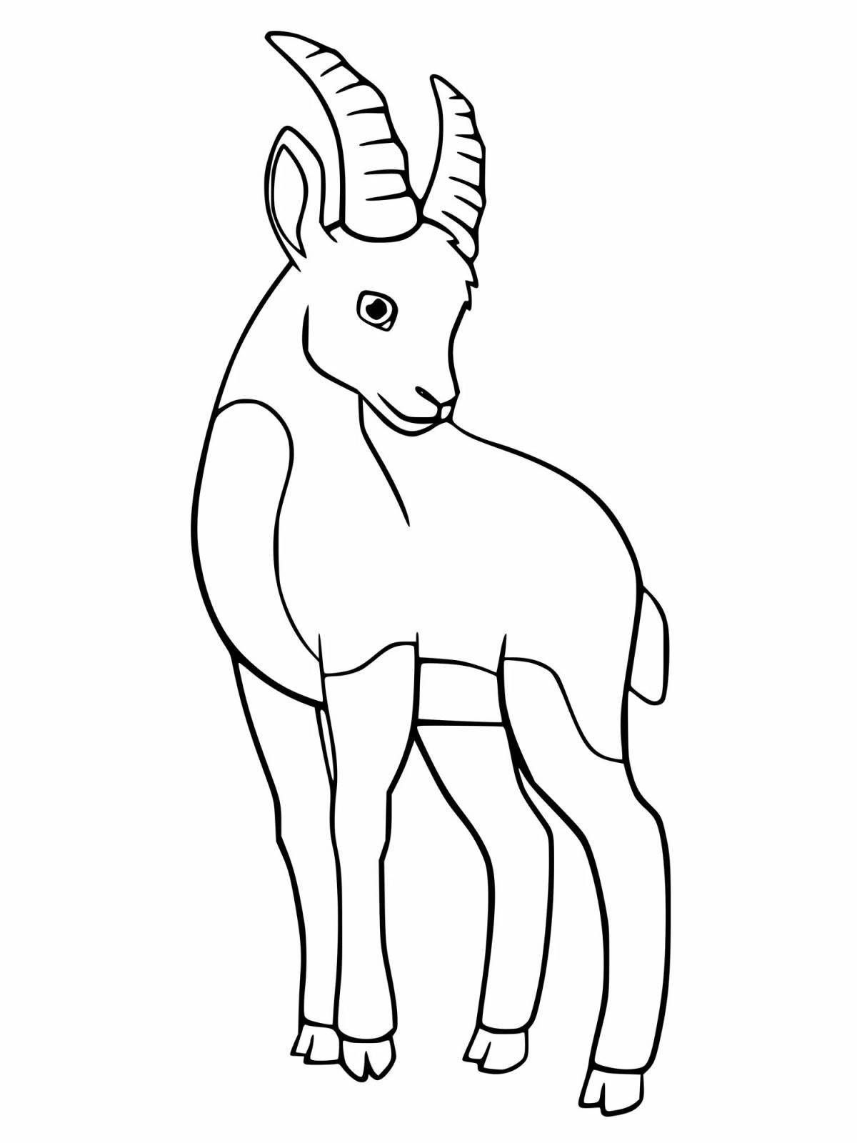 Exquisite mountain goat coloring