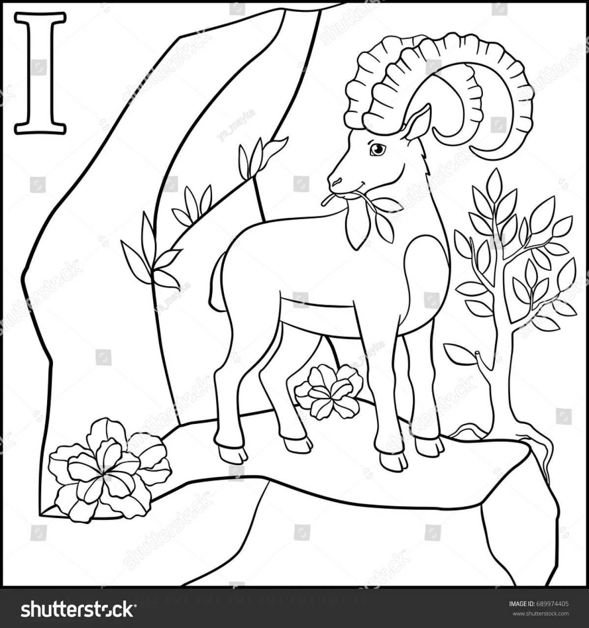 Coloring page graceful mountain goat