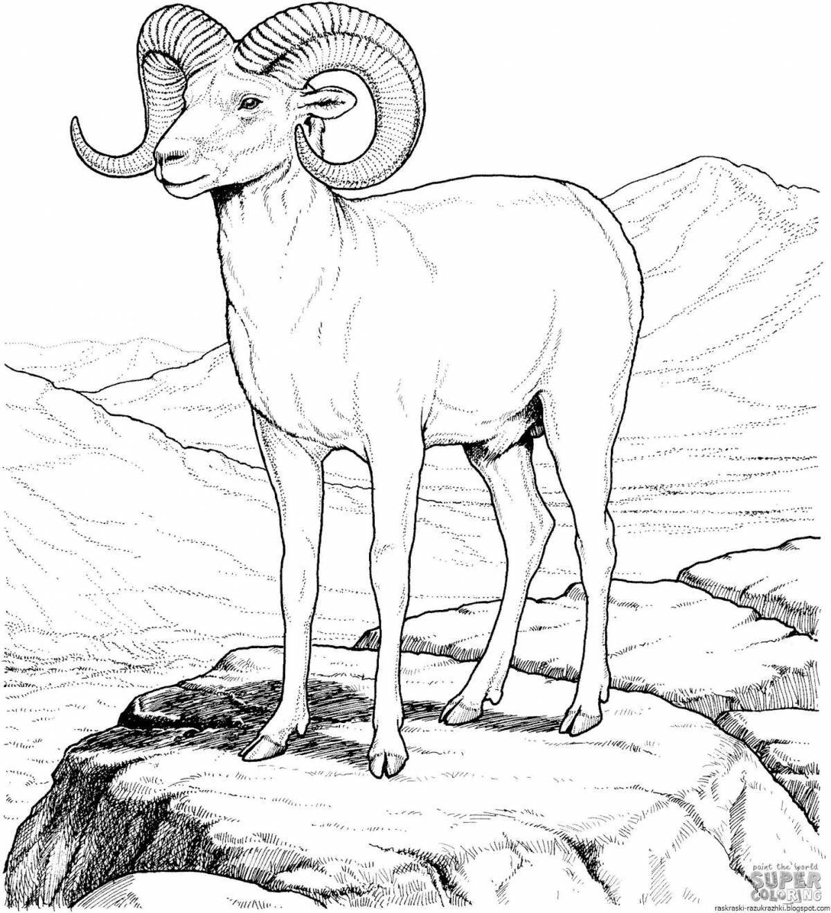 Coloring book dashing mountain goat