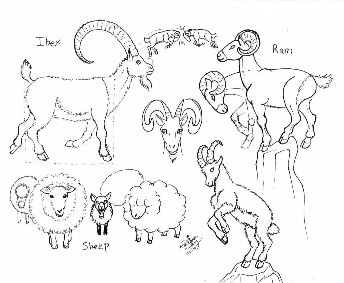 Glittering mountain goat coloring page