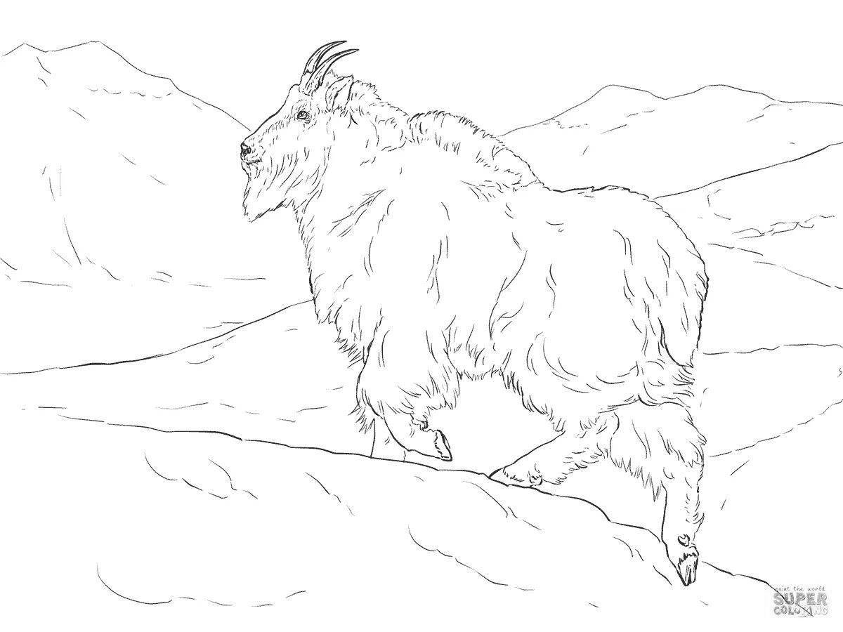 Coloring page cheerful mountain goat