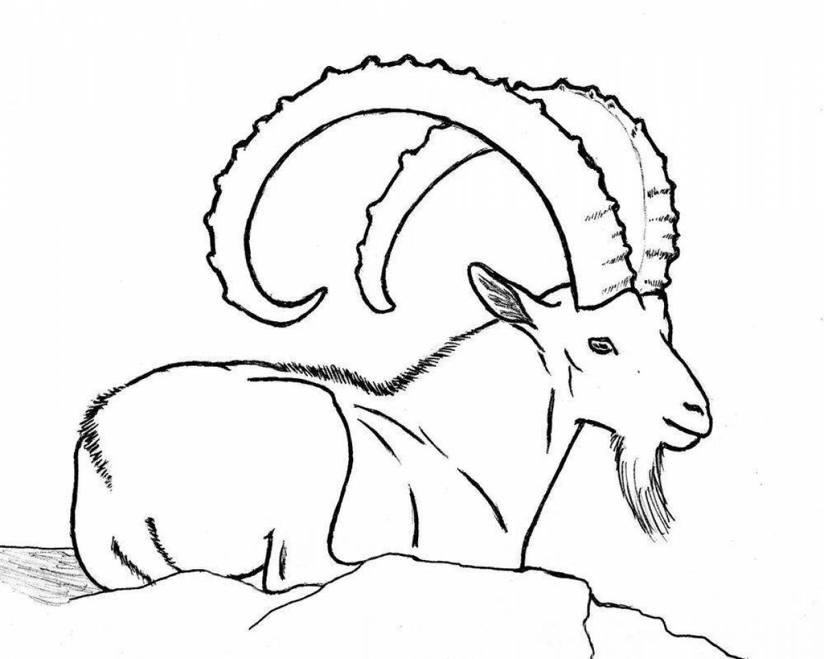 Coloring book playful mountain goat