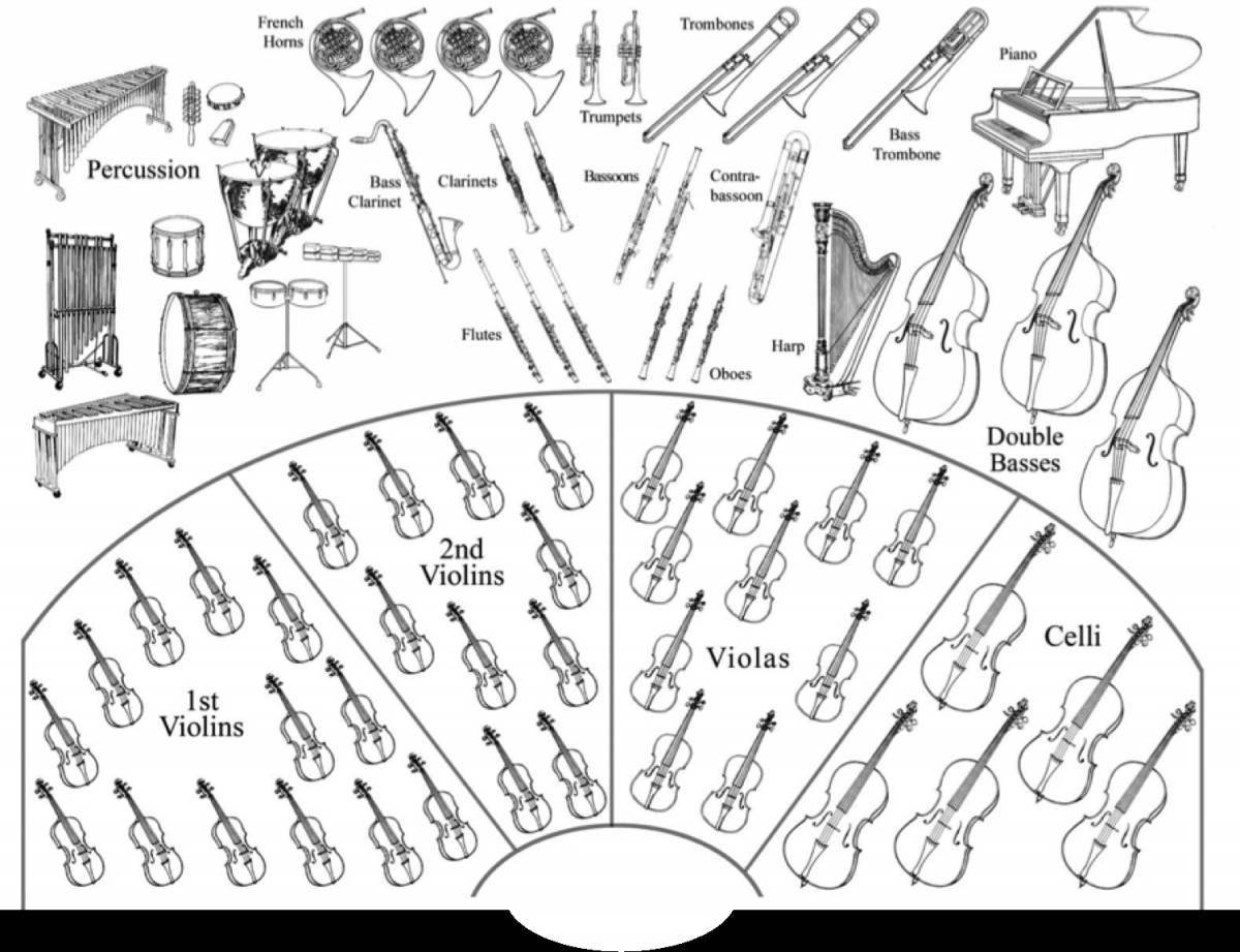 Coloring book bright symphony orchestra