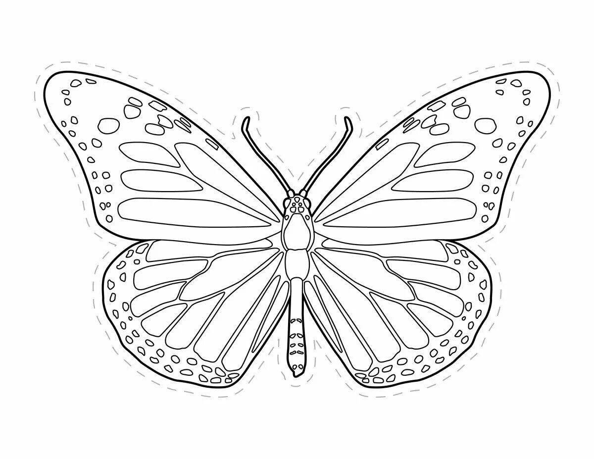 Colorful coloring butterfly outline