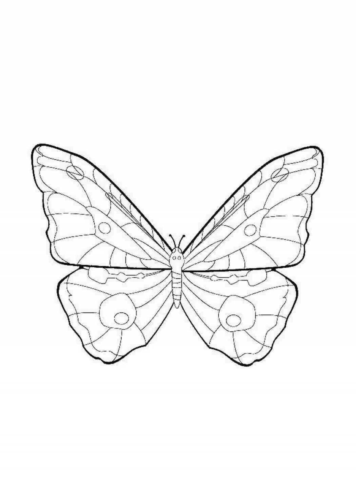 Majestic outline of a butterfly coloring book