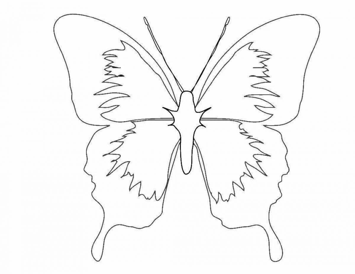 Radiant coloring page butterfly outline