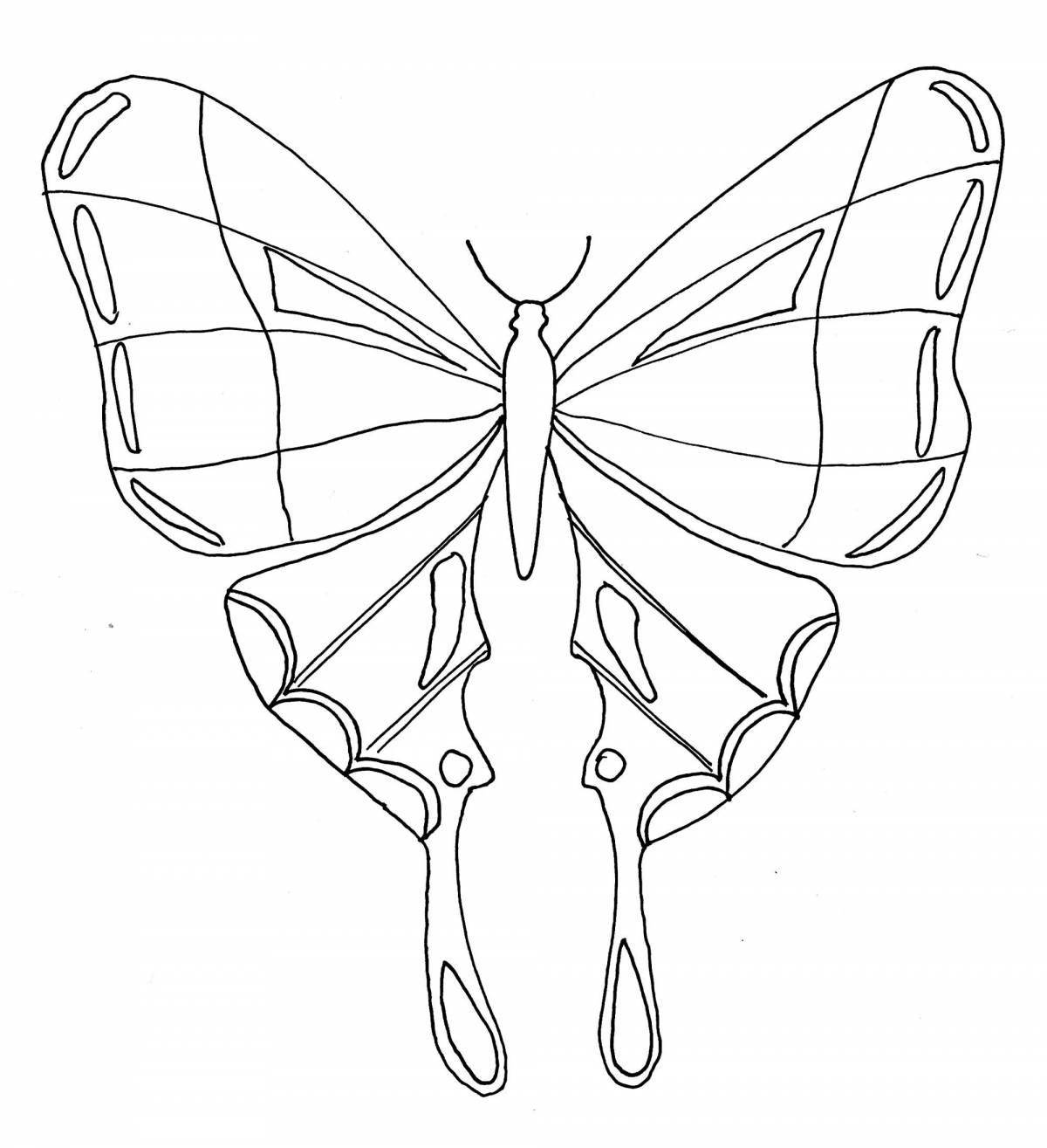Exquisite outline of a butterfly coloring book